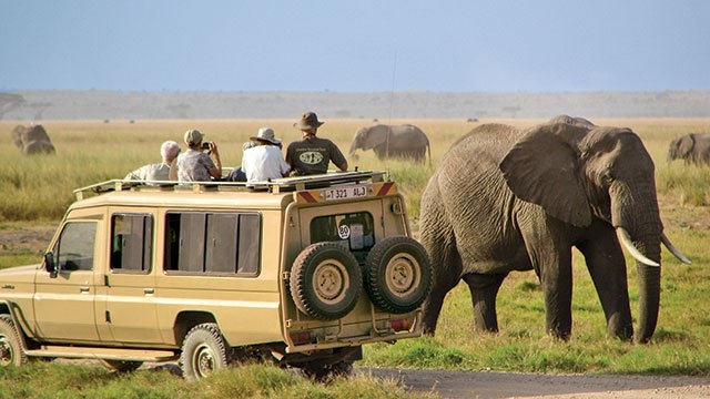 Serengeti National Park Serengeti National Park
